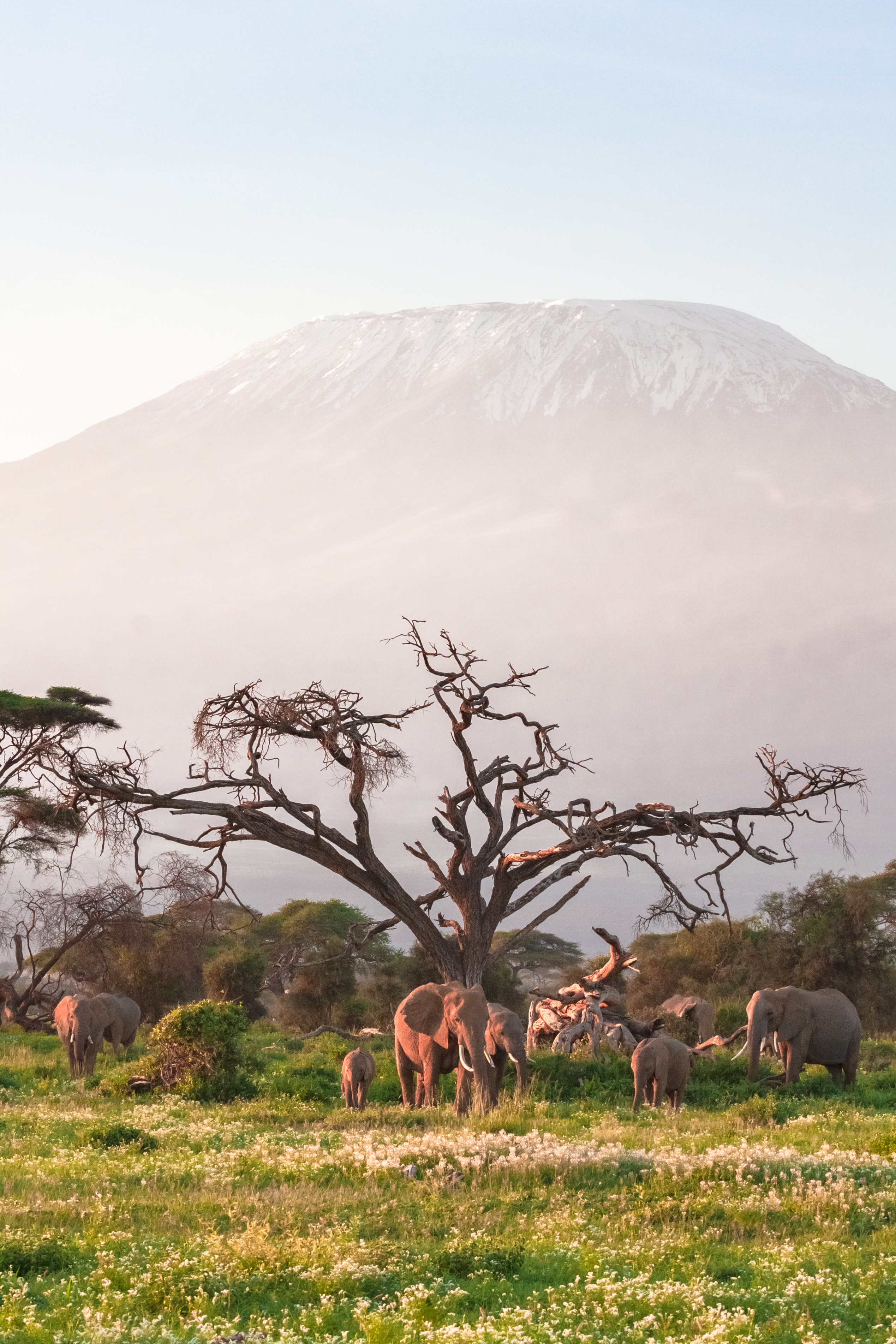 Mount Kilimanjaro